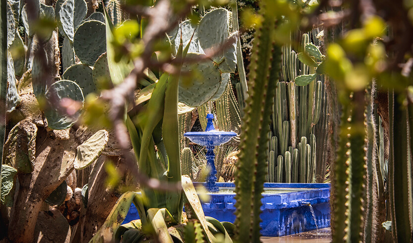 Blue fountain in the middle of Jardin Majorelle
