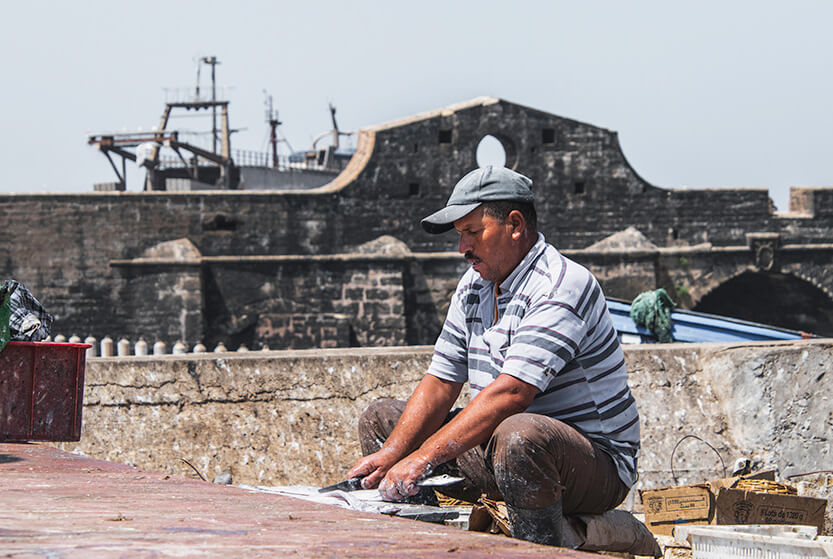 A fisherman sitting and cleaning fish at the harbor in Essaouira.