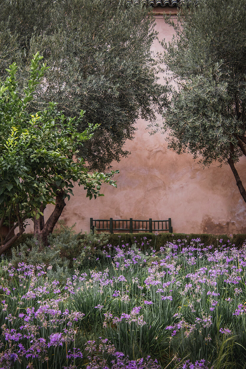 A charming bench in Le Jardin Secret, very French-like.