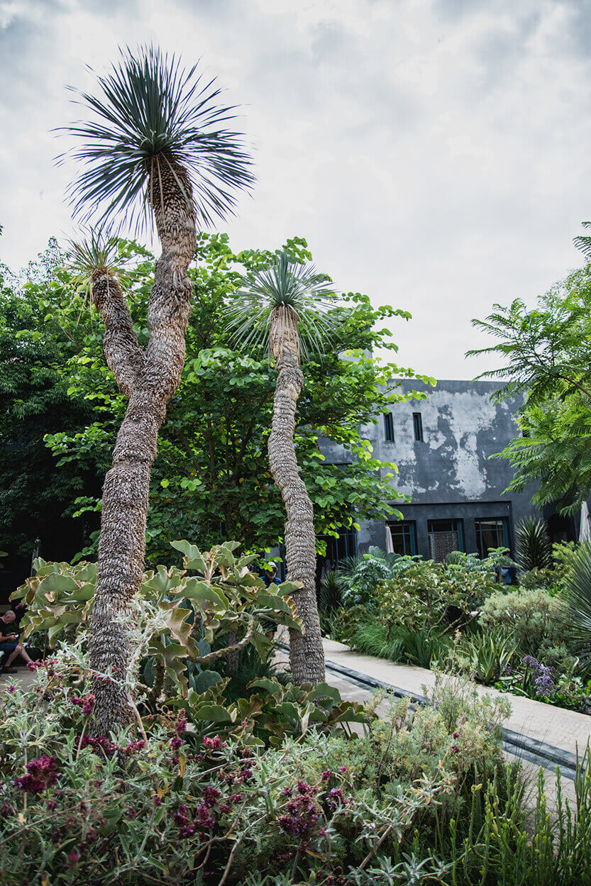 Le Jardin Secret