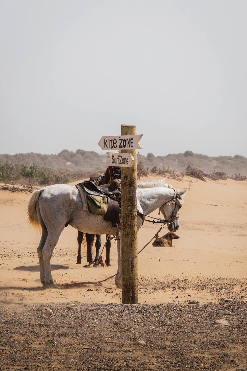 Der Var Også Heste På Stranden, Essaouira