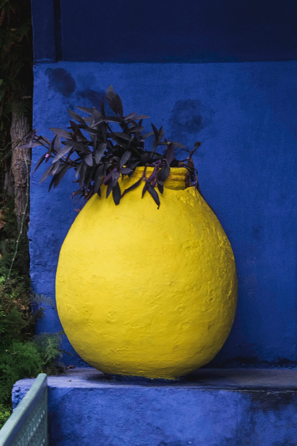 Citron Krukke   Jardin Majorelle