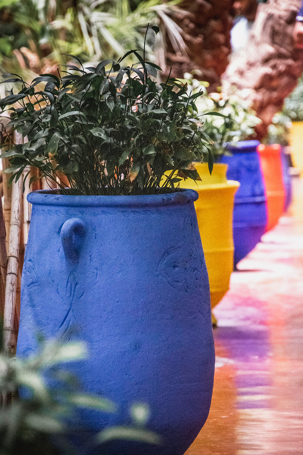 Smukt Kolorerede Krukker I Jardin Majorelle, Marrakech