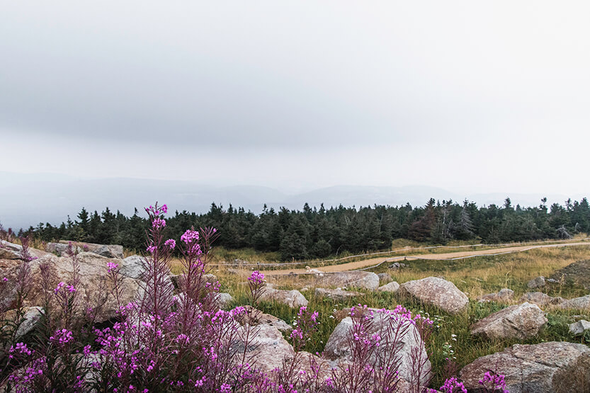 The view from Brocken is absolutely stunning!