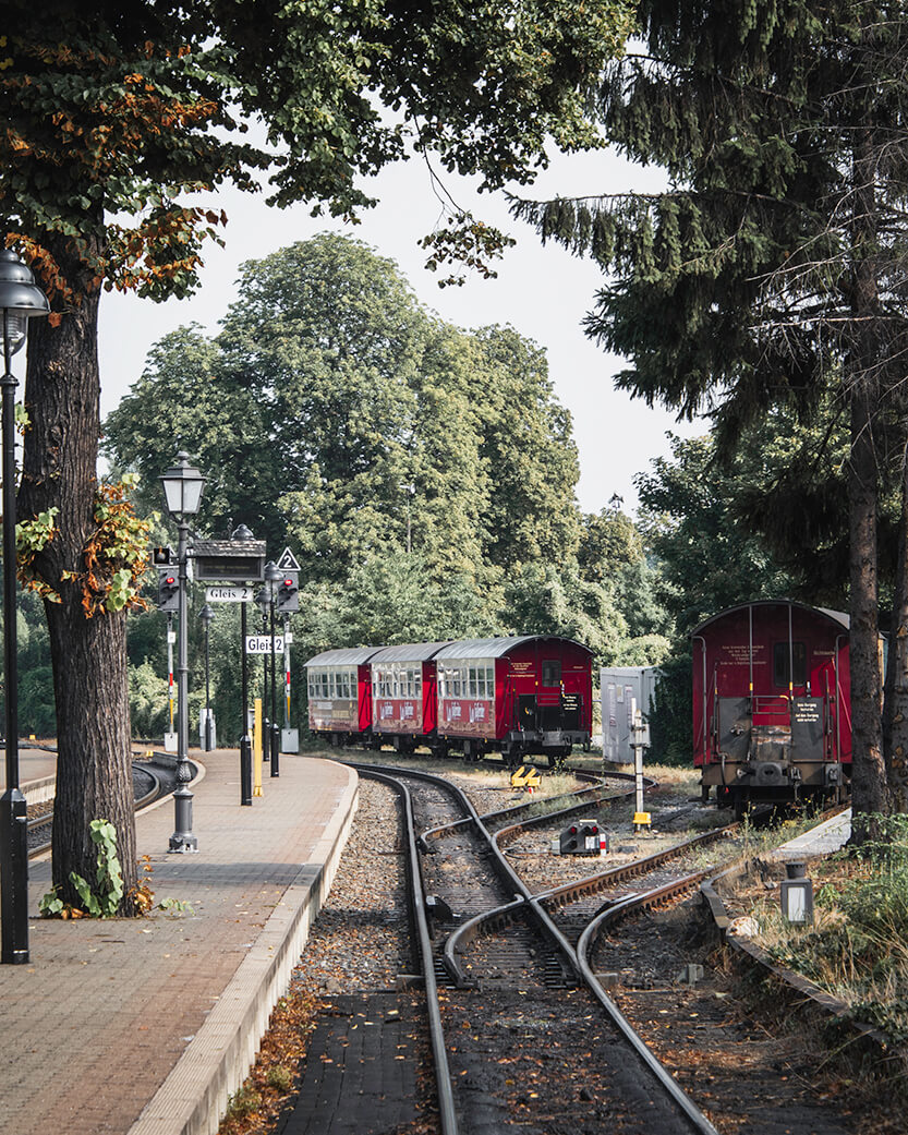 The trains at Wernigerode Westerntor Station.