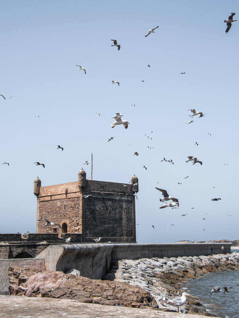 The citadel sits right next to the old fishing harbor, where seagulls gather in flocks.