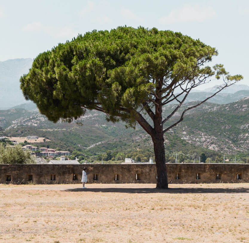 The little girl and the big tree, near the citadel in Saint-Florent.