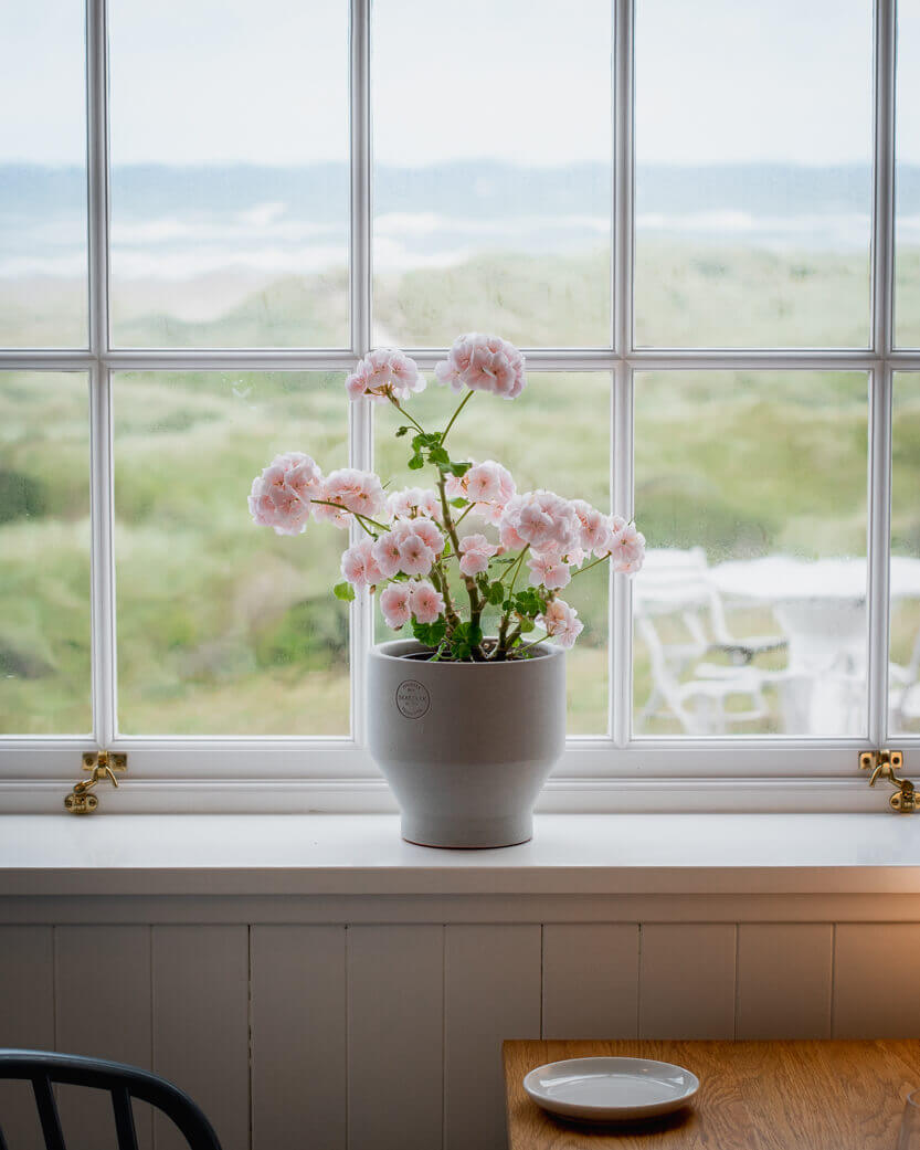 I can’t resist the delicate pelargoniums in the window, overlooking the rugged landscape and sea at Svinkløv Badehotel’s restaurant.