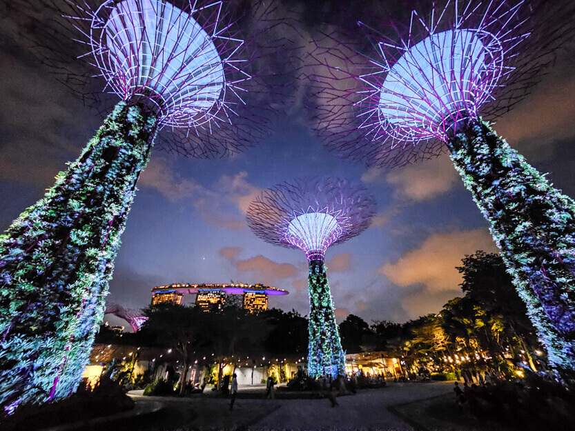 Gardens By the Bay, Super Trees