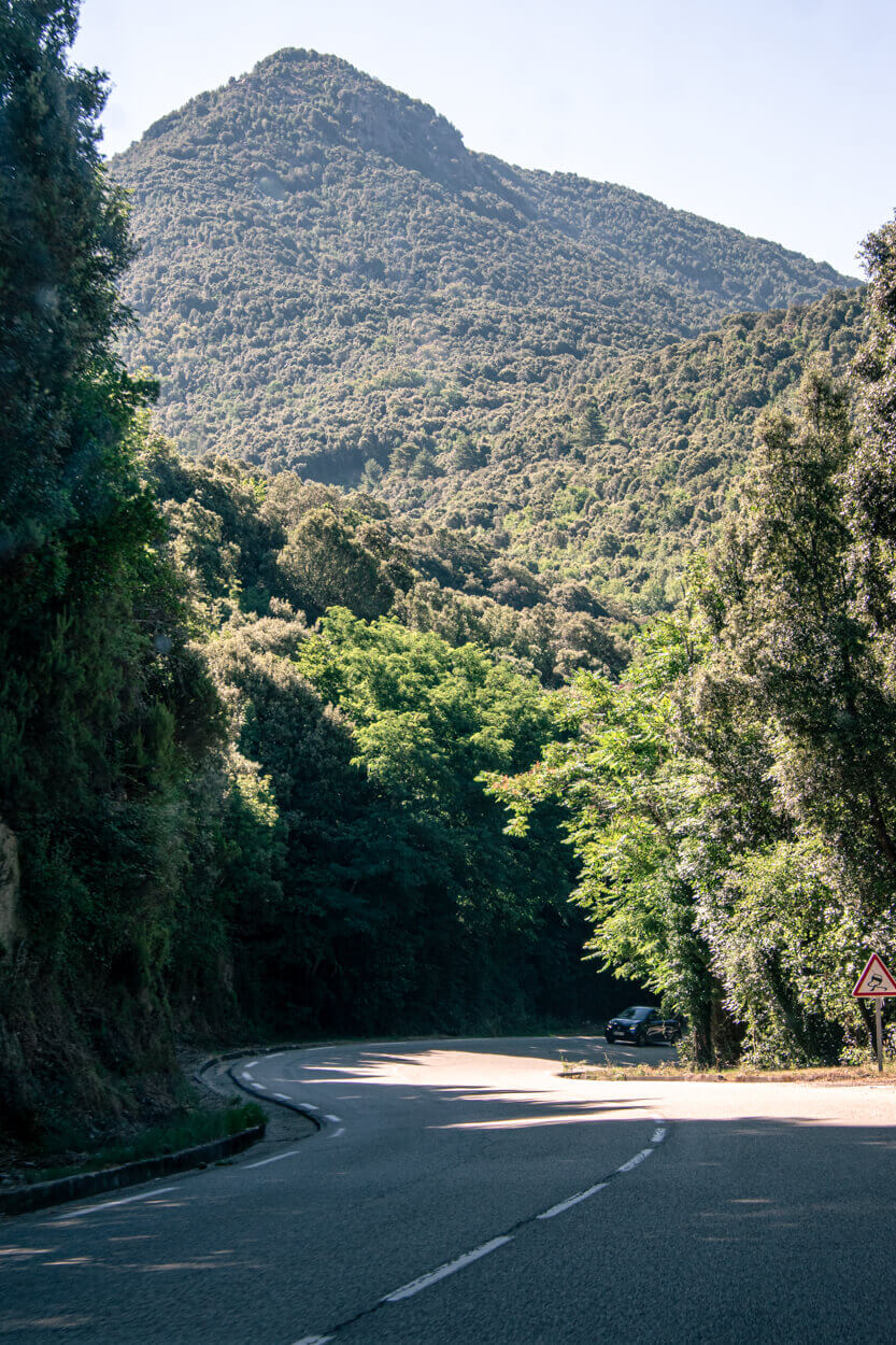 Forests, mountains, and hairpin bends are common in Corsica.