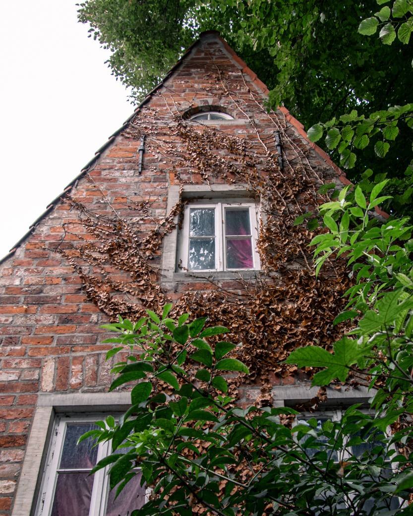 Bremen, Schnoor